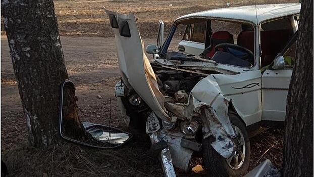 В Кирово-Чепецке пьяный бесправник на «ВАЗе» врезался в дерево