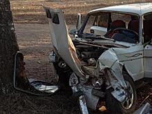 В Кирово-Чепецке пьяный бесправник на «ВАЗе» врезался в дерево