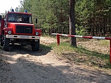 Управление ГОЧС прогнозирует повышение класса пожарной опасности в лесах в ближайшую неделю