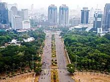 В Джакарте запретили продавать мясо кошек, собак и летучих мышей