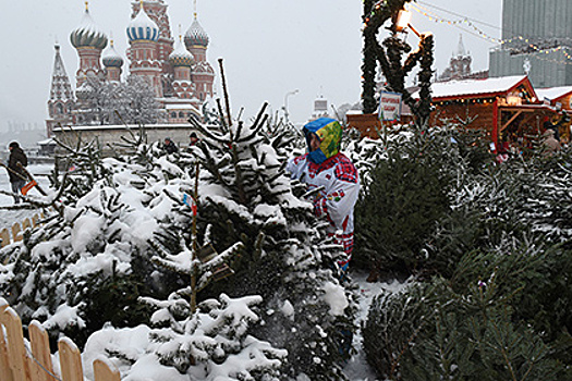 Печатавший «колионы» подмосковный фермер наладил продажу елок за биткоины