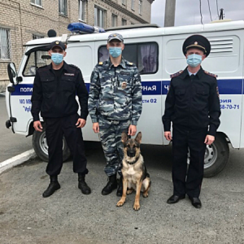 В Свердловской области полицейские помогли выйти из леса заблудившимся грибникам