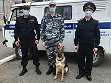 В Свердловской области полицейские помогли выйти из леса заблудившимся грибникам