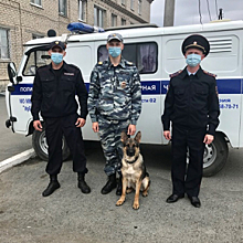 В Свердловской области полицейские помогли выйти из леса заблудившимся грибникам