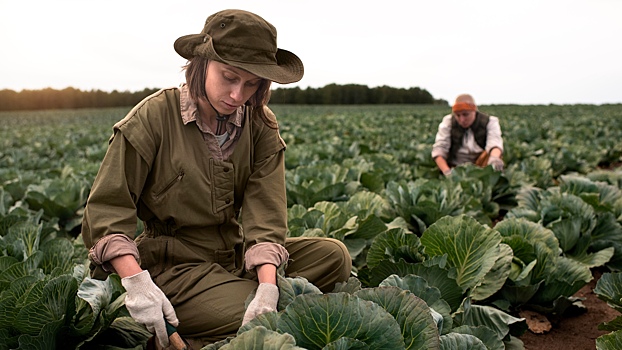 На горнолыжном курорте, складе или в поле: где найти работу на сезон и как устроиться