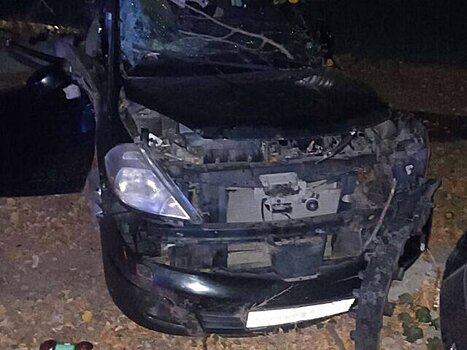 Трое подростков погибли в ДТП в Белгородской области