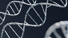 Ученые ЮФУ нашли способ выделения чистой ДНК