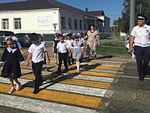 В Выселковском районе стартовала декада дорожной безопасности детей