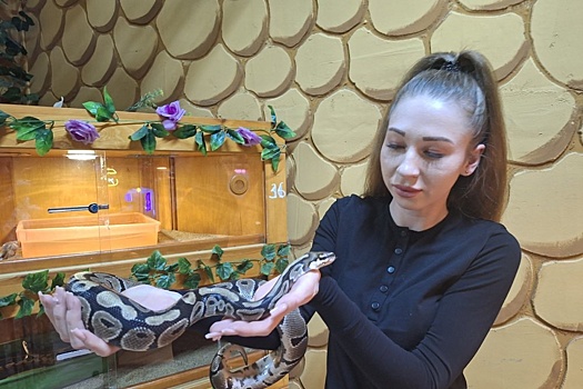 Почему в год Змеи живая рептилия не самый лучший подарок