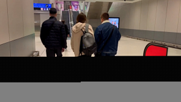 В Россию из Турции депортирована обвиняемая в мошенничестве, которая находилась в розыске по каналам Интерпола