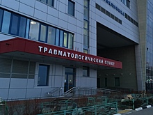 В ДТП на Яблоневой аллее пострадал пешеход