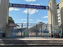 В Курской области планируется внедрение мобильного приложения для спортсменов