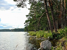 На берегу озера в Карелии нашли неопознанный труп