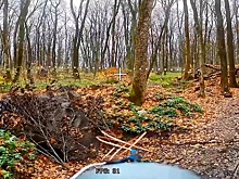 Дроны на оптоволокне сразили технику ВСУ в Сумской области