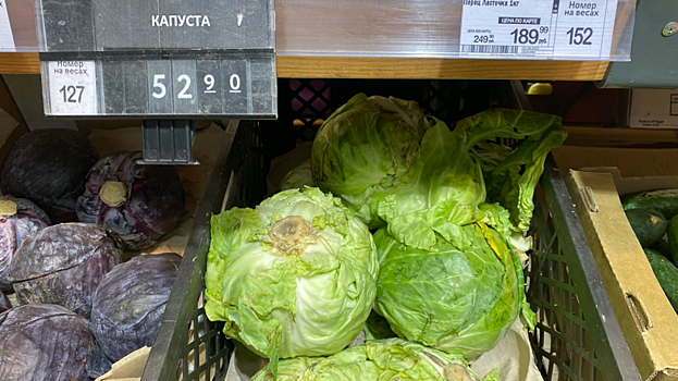 «Ценник». В саратовских супермаркетах капуста подешевела до 53 рублей за килограмм