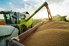 Россия планирует активизировать поставки пшеницы на Филиппины