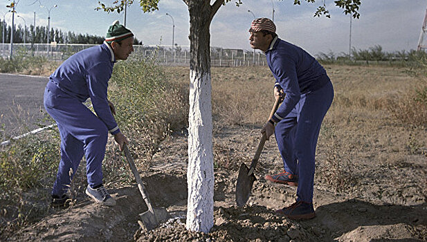 На Байконуре гибнет посаженное Гагариным дерево