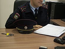 «Аэрофлот» не нашел нарушений при перевозке из Москвы в Симферополь клетки с собакой, получившей травмы