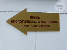 В Пензенской области возбудители боррелиоза обнаружены в 17% клещей, снятых с людей