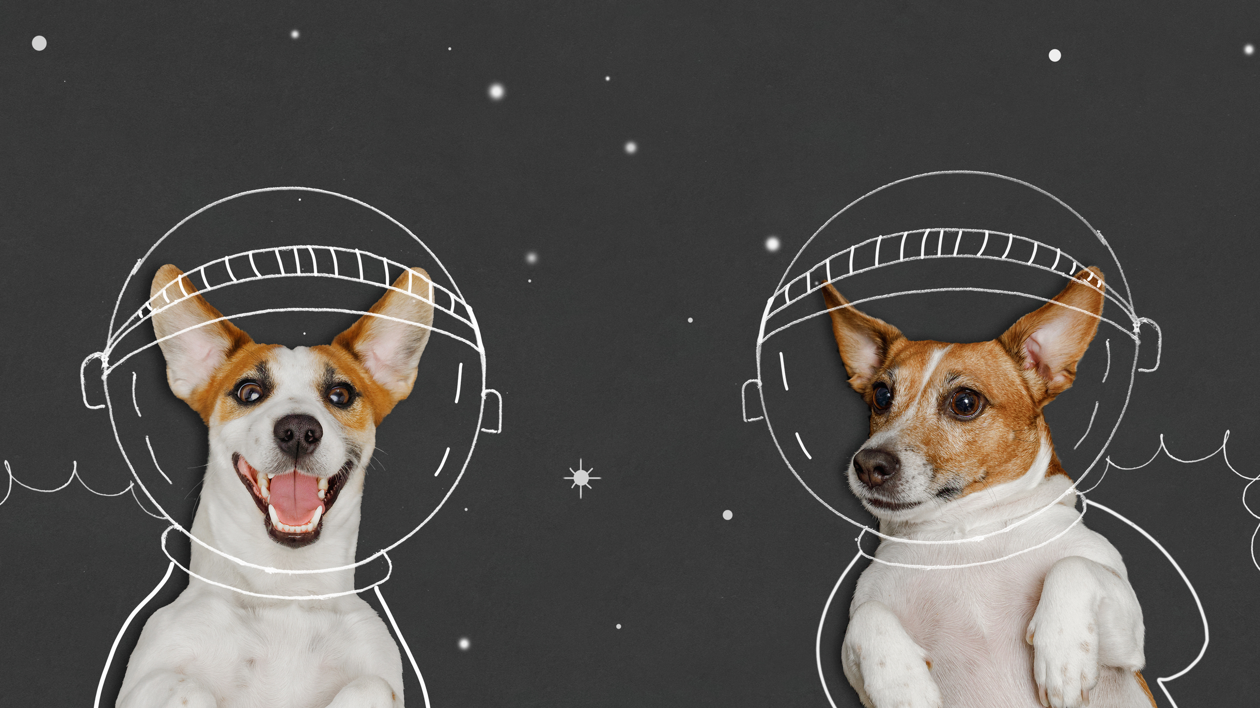 �����&nbsp; ���������� ��������, ������� ��������� �������