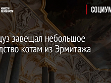 Коты из Эрмитажа получили наследство от французского мецената