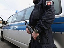 В Нидерландах существует большая опасность терактов, считает эксперт