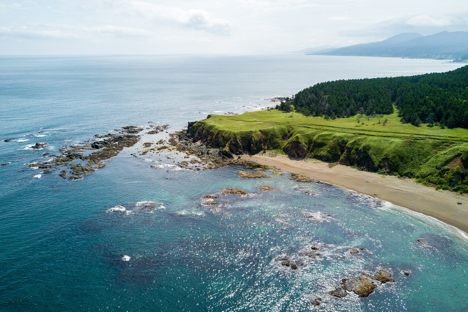 Daily Mail: в Британии на пляж вынесло гигантскую тушу неизвестного существа