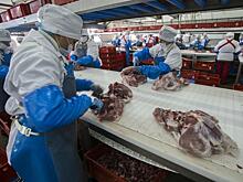 8 ноября – День качества: контроль с древних времён до наших дней