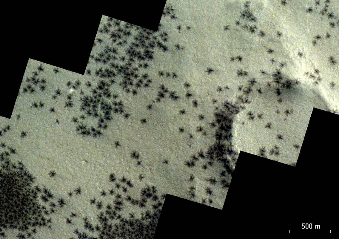 На Марсе обнаружили сотни черных «пауков»