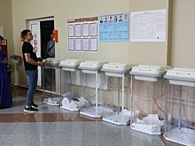 Сколько зарабатывают подмосковные кандидаты в депутаты Госдумы от партии «Зеленая альтернатива»?
