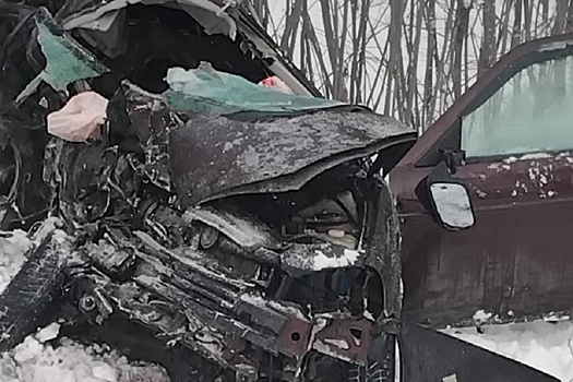 Три человека погибли в фатальной аварии в Новосибирской области