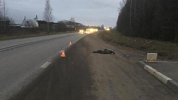 На трассе Киров – Белая Холуница в Слободском районе пьяный водитель ВАЗа насмерть сбил пешехода
