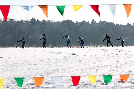 Омский дендропарк запускает экскурсии на лыжах