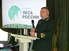 Губернатор Красноярского края отправил в отставку «лесного министра» Панова