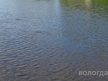 Вологжанам рассказали, как избежать трагедии на водоемах