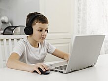 Представитель Минпросвещения рассказал о замене компьютерных игр для детей