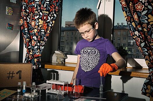 Команда молодых ученых «Умная Москва» разработала проект для детей «Наука на дом»