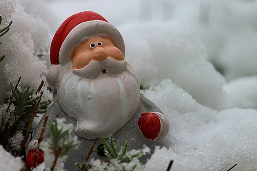 Тест: узнай, кто скрывается под бородой Деда Мороза