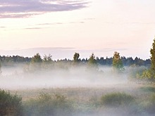 В понедельник в Москве ожидаются переменная облачность и до 25 градусов тепла