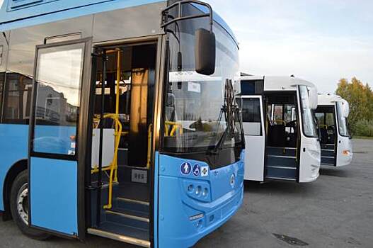 Курганские власти отменяют несколько городских автобусных маршрутов