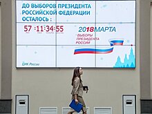 Депутаты Якиманки в Москве намерены отстаивать референдум в день выборов