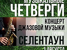В Озеропарке пройдет концерт джазовой музыки группы «Селентаун»