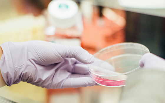 «Биннофарм Групп» продолжает развивать формат летних стажировок