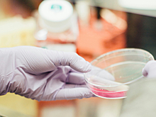 «Биннофарм Групп» продолжает развивать формат летних стажировок