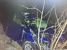 На трассе под Саратовом «Kia Rio» насмерть сбила двух лошадей