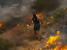 Мужчина тушил лесной пожар ногами и попал на видео