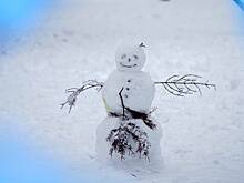 Синоптик Макарова: снежный покров в Москве вырастет на 15-20 сантиметров