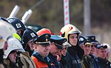 Глава МЧС России Куренков поздравил спасателей с профессиональным праздником