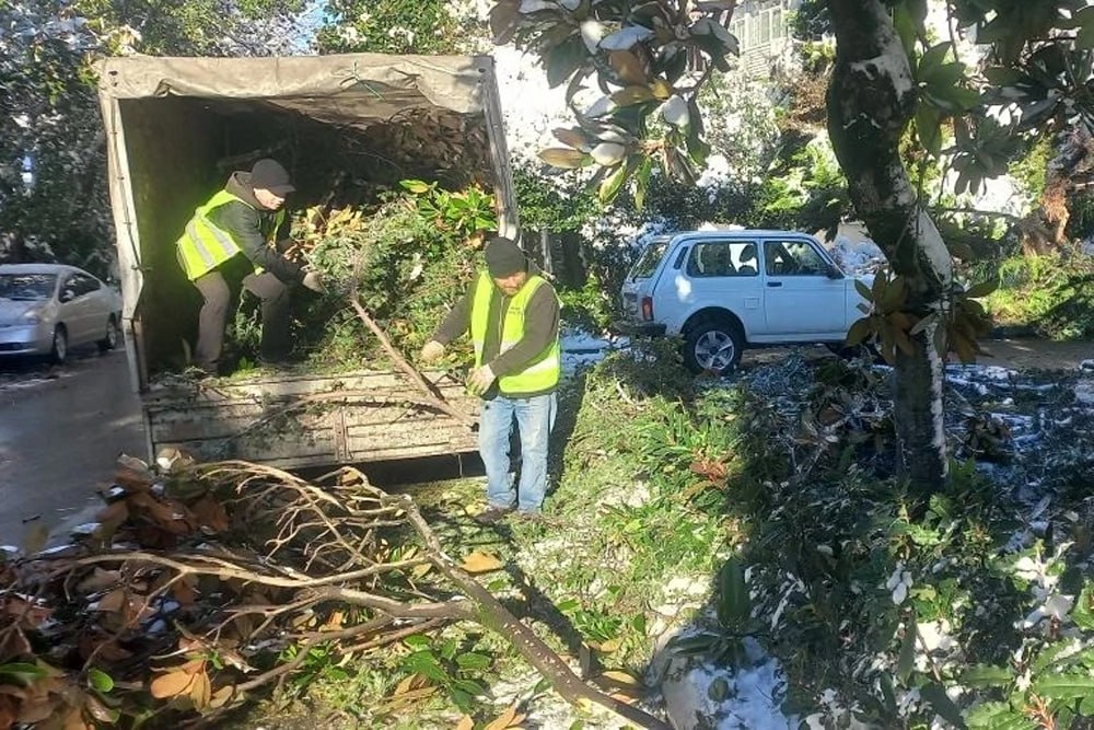 Мэр Сочи рассказал о ситуации на курорте после сильных снегопадов