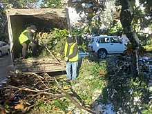 Мэр Сочи рассказал о ситуации на курорте после сильных снегопадов